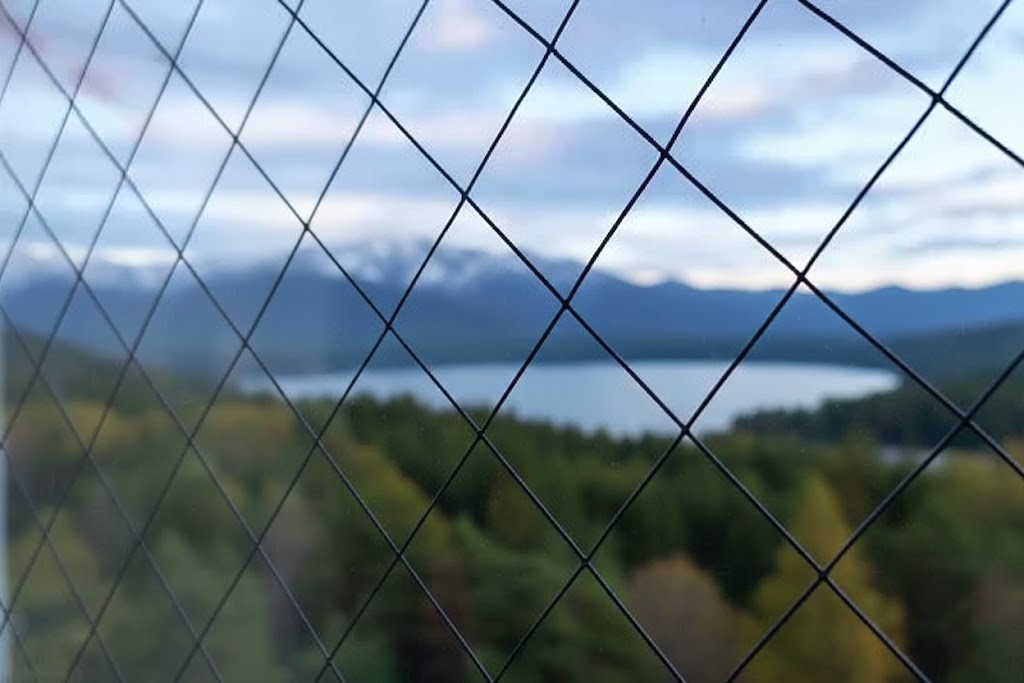 網入り透明ガラス