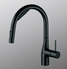 ビルトイン浄水器用シングルシャワー付混合栓のイメージ